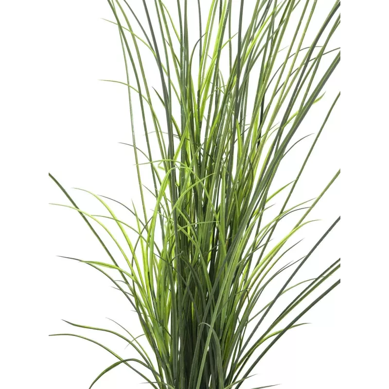 EUROPALMS Τεχνητό γρασίδι καλαμιού, 145cm, πράσινο/καφέ, σε γλάστρα 82600229