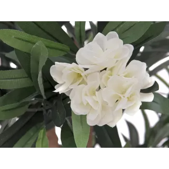 EUROPALMS Δέντρο πικροδάφνης, τεχνητό φυτό, λευκό, 120 cm (82507246)