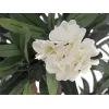 EUROPALMS Δέντρο πικροδάφνης, τεχνητό φυτό, λευκό, 120 cm (82507246)