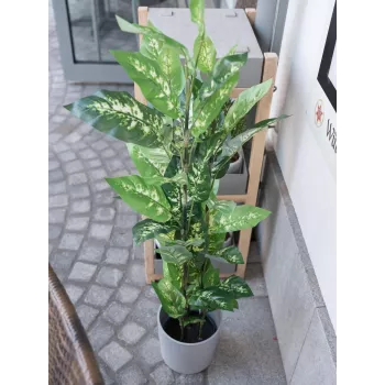 EUROPALMS Τεχνητό φυτό Dieffenbachia 120cm 82508306