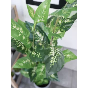 EUROPALMS Τεχνητό φυτό Dieffenbachia 120cm 82508306