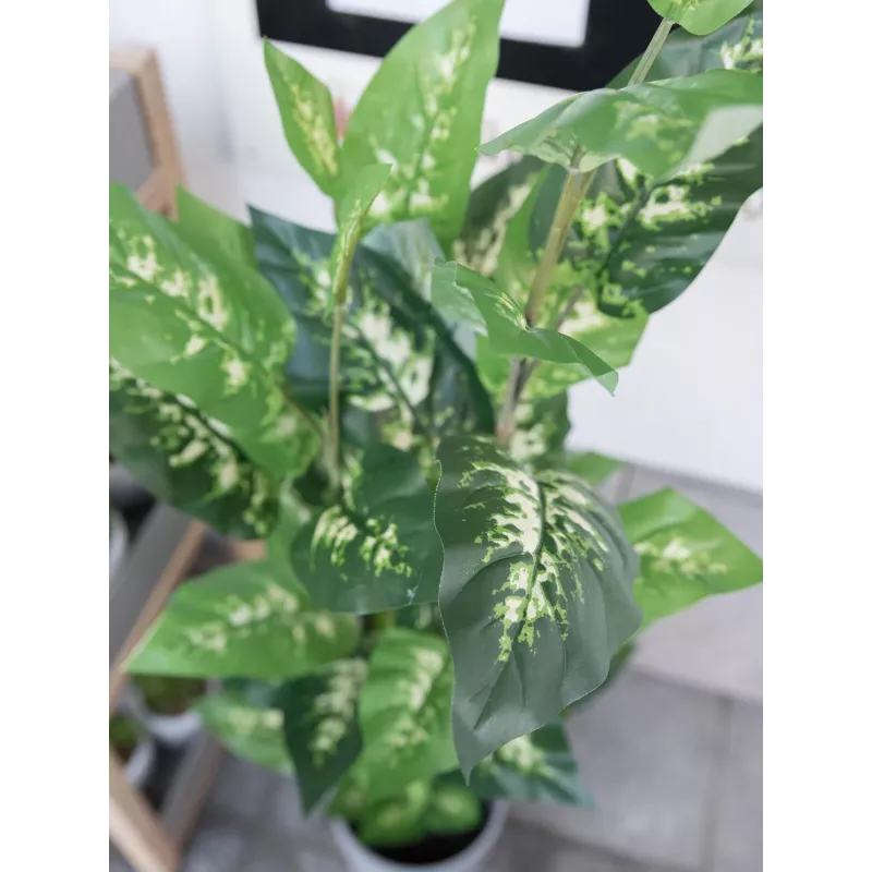EUROPALMS Τεχνητό φυτό Dieffenbachia 120cm 82508306