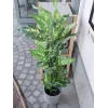 EUROPALMS Τεχνητό φυτό Dieffenbachia 120cm 82508306