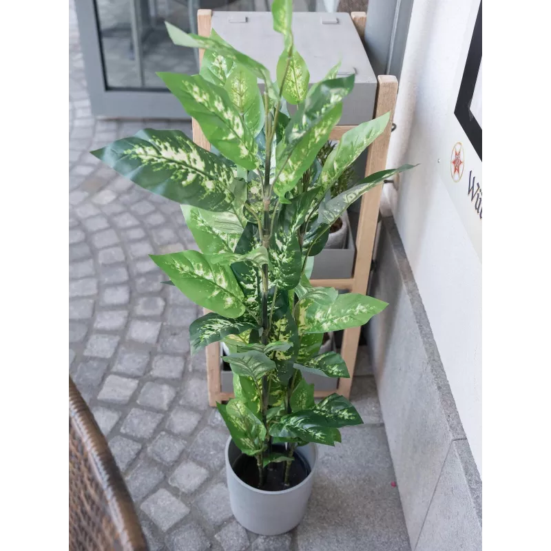 EUROPALMS Τεχνητό φυτό Dieffenbachia 120cm 82508306