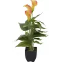 EUROPALMS Calla mini Τεχνητό φυτό, κίτρινο-πορτοκαλί, 43 cm 82540346