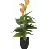EUROPALMS Calla mini Τεχνητό φυτό, κίτρινο-πορτοκαλί, 43 cm 82540346