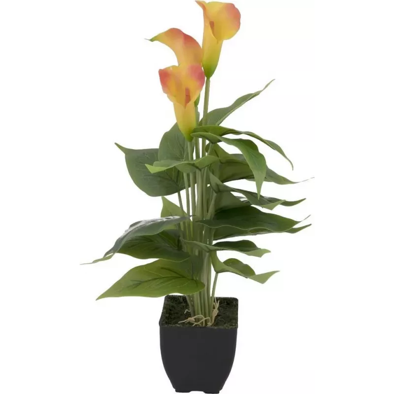 EUROPALMS Calla mini Τεχνητό φυτό, κίτρινο-πορτοκαλί, 43 cm 82540346