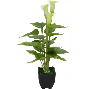 EUROPALMS Calla mini Τεχνητό φυτό Calla-Lily, λευκό, 43 cm 82540347