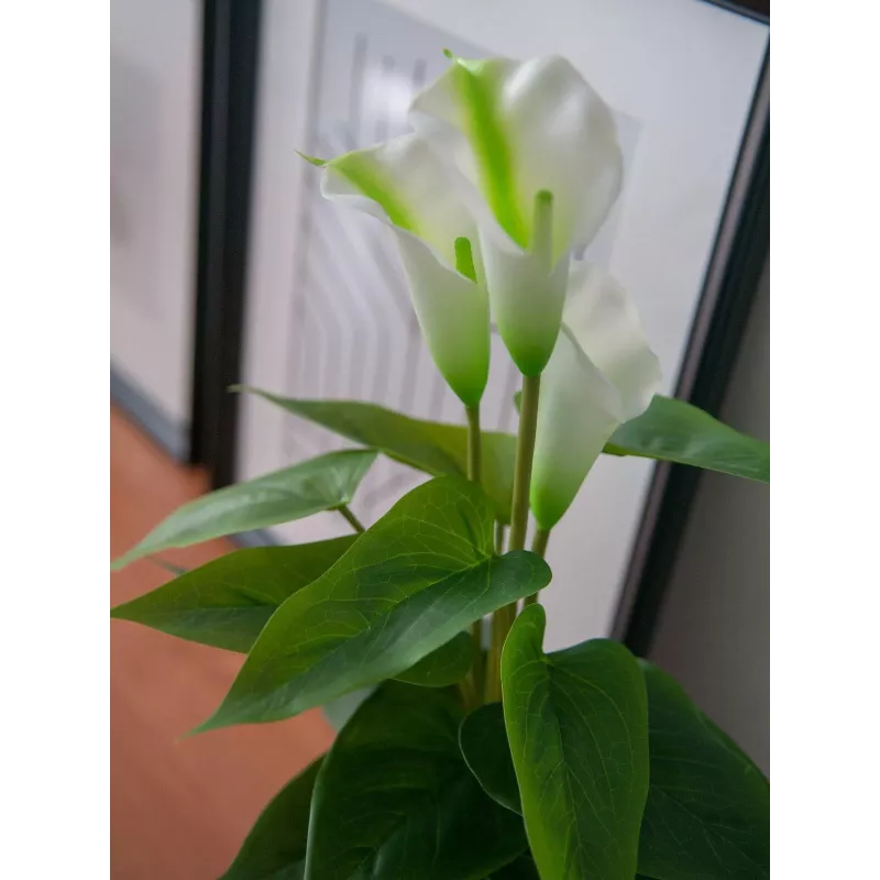 EUROPALMS Calla mini Τεχνητό φυτό Calla-Lily, λευκό, 43 cm 82540347