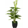 EUROPALMS Calla mini Τεχνητό φυτό Calla-Lily, λευκό, 43 cm 82540347