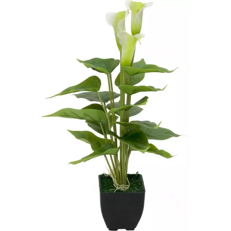 EUROPALMS Calla mini Τεχνητό φυτό Calla-Lily, λευκό, 43 cm 82540347