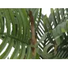 EUROPALMS Τεχνητό φυτό παλάμη Kentia 140cm 82511361