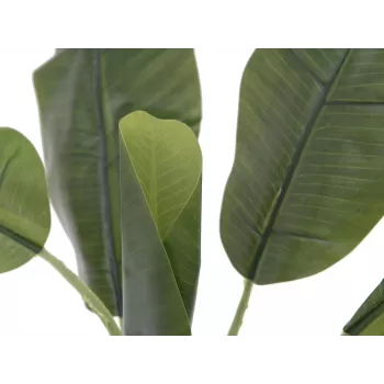 EUROPALMS Τεχνητό φυτό μπανάνας, 100cm, πράσινα φύλλα, μαύρη γλάστρα 82509503
