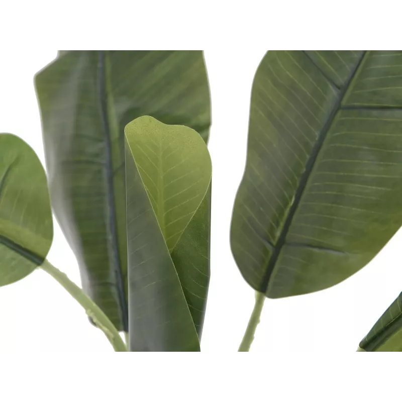 EUROPALMS Τεχνητό φυτό μπανάνας, 100cm, πράσινα φύλλα, μαύρη γλάστρα 82509503