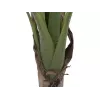 EUROPALMS Τεχνητό φυτό μπανάνας, 100cm, πράσινα φύλλα, μαύρη γλάστρα 82509503
