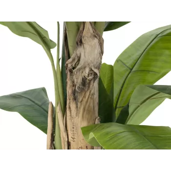 EUROPALMS Τεχνητό δέντρο μπανάνας, 170cm, πράσινα φύλλα, μαύρη γλάστρα 82509539