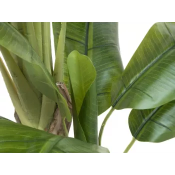 EUROPALMS Τεχνητό δέντρο μπανάνας, 170cm, πράσινα φύλλα, μαύρη γλάστρα 82509539