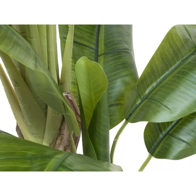 EUROPALMS Τεχνητό δέντρο μπανάνας, 170cm, πράσινα φύλλα, μαύρη γλάστρα 82509539