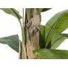 EUROPALMS Τεχνητό δέντρο μπανάνας, 170cm, πράσινα φύλλα, μαύρη γλάστρα 82509539