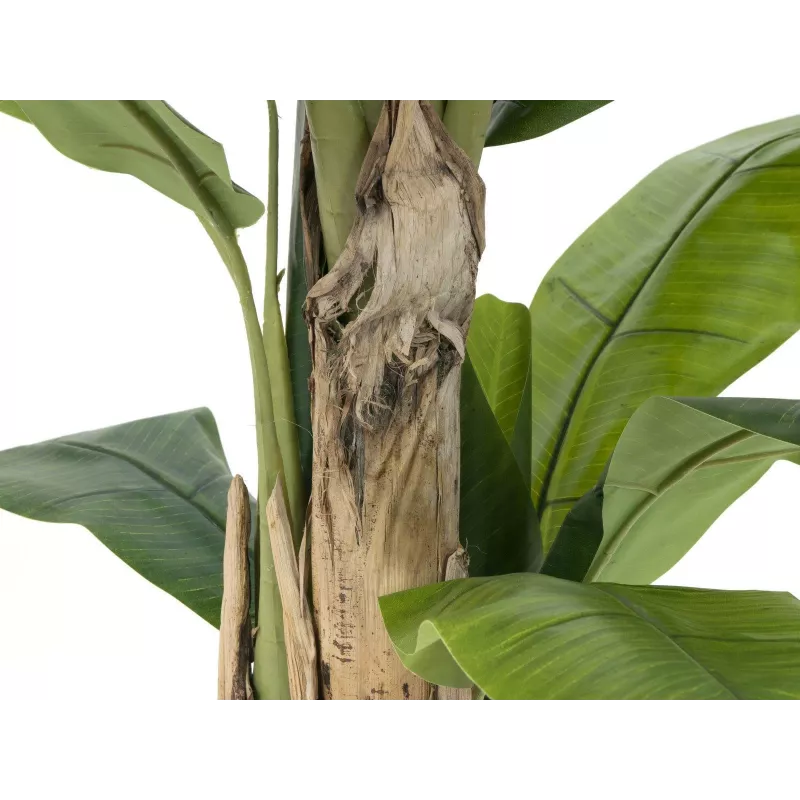 EUROPALMS Τεχνητό δέντρο μπανάνας, 170cm, πράσινα φύλλα, μαύρη γλάστρα 82509539