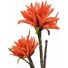 EUROPALMS Dahlia (EVA), τεχνητό φυτό, πορτοκαλί, 100cm (82532006)
