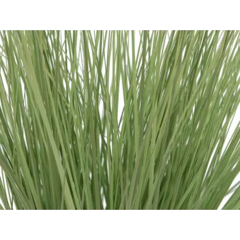 EUROPALMS Τεχνητό διακοσμητικό χορτάρι, 65 cm, Πράσινο, Μαύρη γλάστρα 82600145