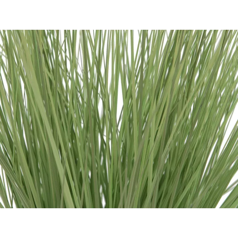 EUROPALMS Τεχνητό διακοσμητικό χορτάρι, 65 cm, Πράσινο, Μαύρη γλάστρα 82600145