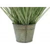 EUROPALMS Τεχνητό διακοσμητικό χορτάρι, 65 cm, Πράσινο, Μαύρη γλάστρα 82600145
