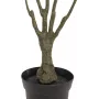 EUROPALMS Τεχνητό φυτό Dracaena, Πράσινο-Κόκκινο, 90cm 82505778
