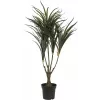EUROPALMS Τεχνητό φυτό Dracaena, Πράσινο-Κόκκινο, 90cm 82505778