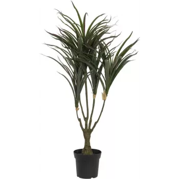 EUROPALMS Τεχνητό φυτό Dracaena, Πράσινο-Κόκκινο, 90cm 82505778