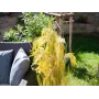 EUROPALMS Τεχνητή δέσμη καλαμιού, 118 cm 82600136