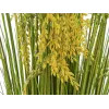 EUROPALMS Τεχνητή δέσμη καλαμιού, 118 cm 82600136