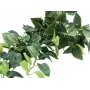 EUROPALMS Pothos Θάμνος διαχωριστικός Classic, τεχνητός, 100cm 82502203