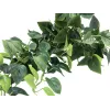 EUROPALMS Pothos Θάμνος διαχωριστικός Classic, τεχνητός, 100cm 82502203