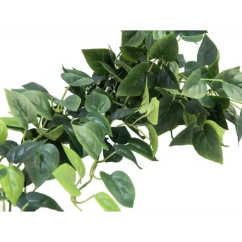 EUROPALMS Pothos Θάμνος διαχωριστικός Classic, τεχνητός, 100cm 82502203