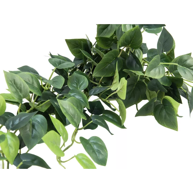 EUROPALMS Pothos Θάμνος διαχωριστικός Classic, τεχνητός, 100cm 82502203