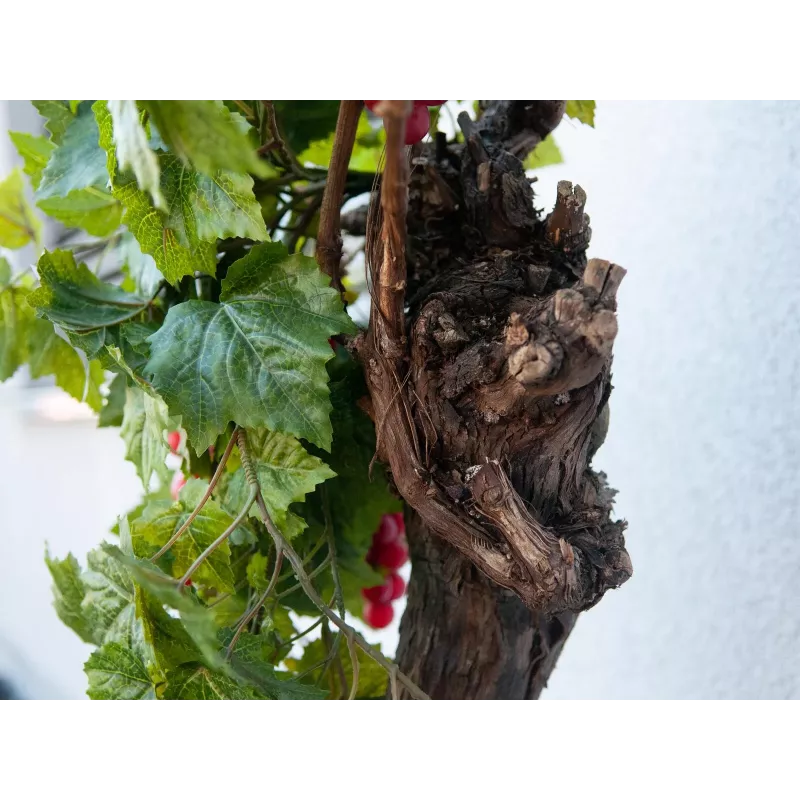 EUROPALMS Premium Τεχνητός θάμνος αμπέλου, 50cm 82502513