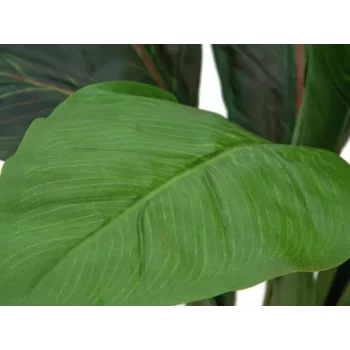 EUROPALMS Τεχνητός θάμνος σέσκουλου, 45cm, πράσινο 82508302