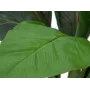 EUROPALMS Τεχνητός θάμνος σέσκουλου, 45cm, πράσινο 82508302