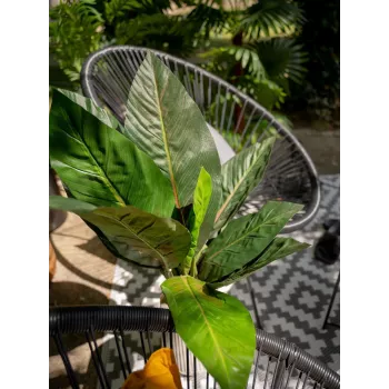 EUROPALMS Τεχνητός θάμνος σέσκουλου, 45cm, πράσινο 82508302