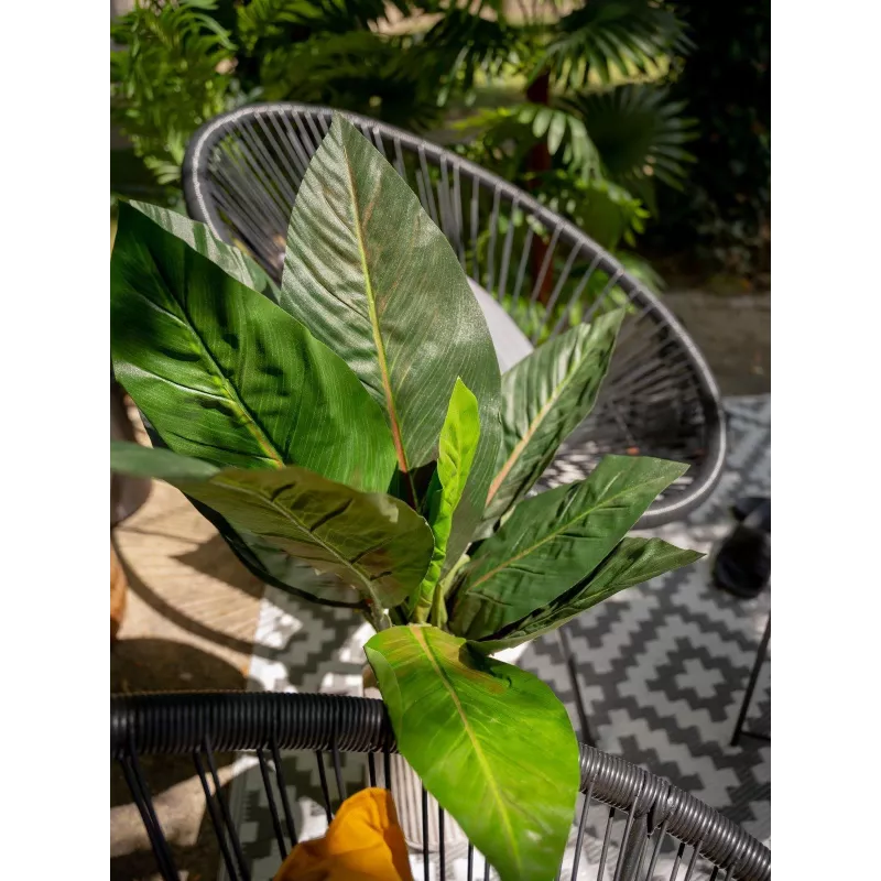 EUROPALMS Τεχνητός θάμνος σέσκουλου, 45cm, πράσινο 82508302