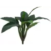 EUROPALMS Τεχνητός θάμνος σέσκουλου, 45cm, πράσινο 82508302