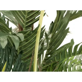 EUROPALMS Τεχνητό φυτό παλάμη Kentia 180cm 82511367