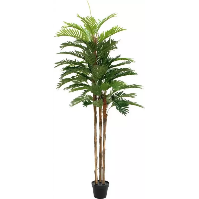 EUROPALMS Τεχνητό φυτό παλάμη Kentia 180cm 82511367
