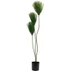 EUROPALMS Τεχνητό φυτό πάπυρος, 100 cm 82600234