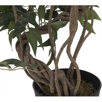 EUROPALMS Τεχνητό φυτό Ficus Multi Spiral Trunk, 130cm 82806314