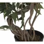 EUROPALMS Τεχνητό φυτό Ficus Multi Spiral Trunk, 130cm 82806314