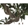 EUROPALMS Τεχνητό φυτό Ficus Multi Spiral Trunk, 130cm 82806314