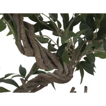 EUROPALMS Τεχνητό φυτό Ficus Multi Spiral Trunk, 130cm 82806314